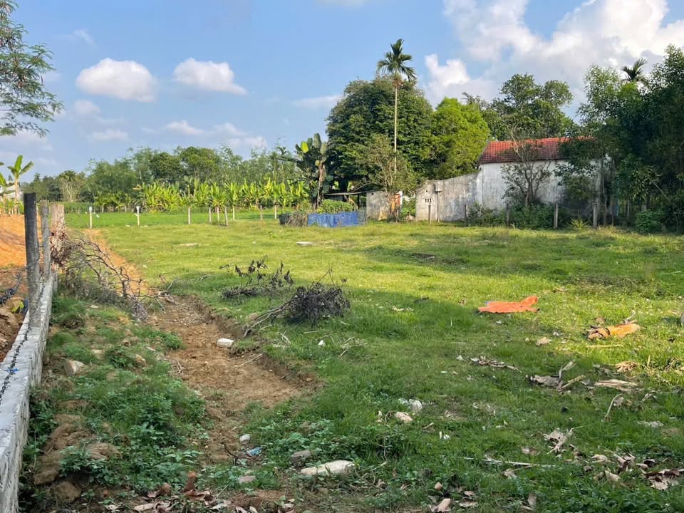 Đất Vườn 1000m² Hòa Ninh, Đà Nẵng - Sổ Hồng Riêng, Giá 5 Tỷ