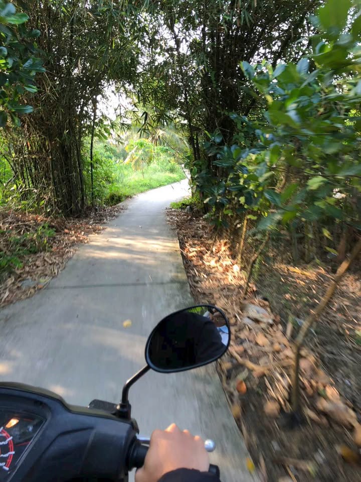 Bán Gấp 17.114m² Đất Vườn Sầu Riêng Thạnh Hòa, Hậu Giang - Giá Tốt