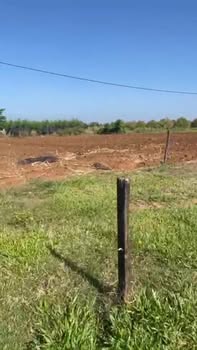 Bán Đất Lộc Quang Bình Phước 2 Sào 6 Mặt Tiền Đường Nhựa Giá Tốt