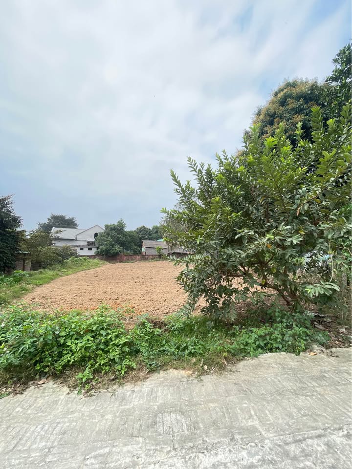 Đất nền Thanh Đình, Việt Trì 160m² - Giá hơn 9xx triệu, ô tô vào tận nơi