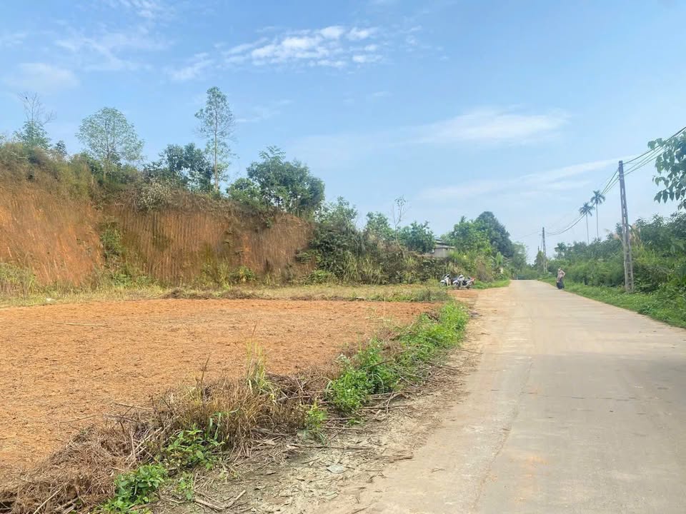 Bán đất Hạ Hòa, Phú Thọ 125m² giá tốt - Sổ đỏ sẵn sàng