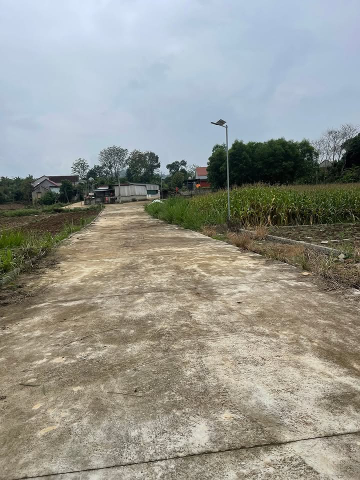 Đất Nền Nghĩa Đàn 100m² - Sổ Đỏ Sẵn Sàng, Giá Chỉ 199 Triệu