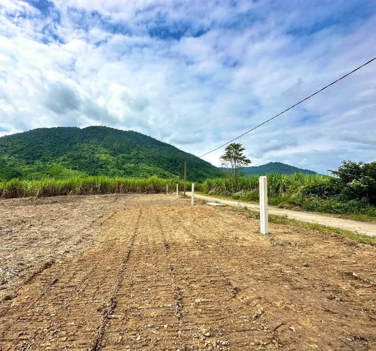 Đất Nền 524m² Thổ Cư Giá 260 Triệu Bao Phí - Khánh Vĩnh, Khánh Hòa