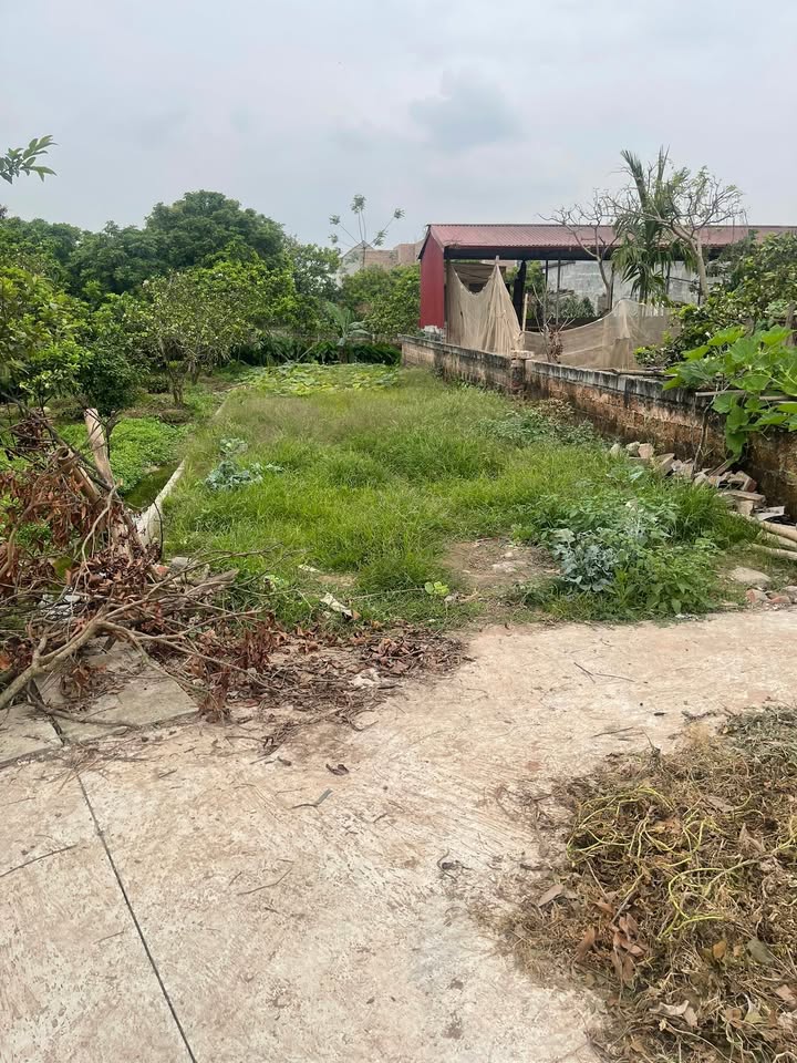 Đất nền An Vĩ, Khoái Châu 115m² - Sổ đỏ sẵn sàng, ô tô vào tận nơi