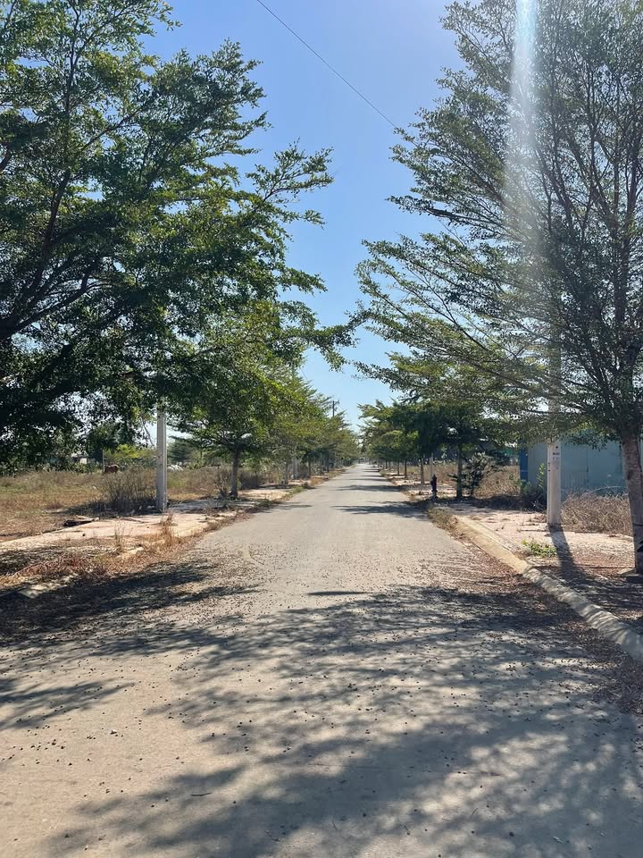 Đất Nền Trục Chính KDC Nam An, Bình Thuận - 80m² Giá 710 Triệu