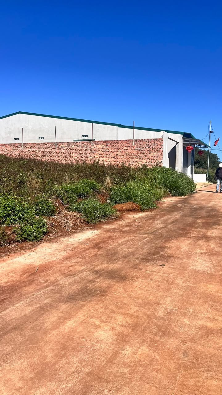 Đất thổ cư 100m² mặt tiền đường 10, Tân Hà, Lâm Hà - Giá 1.2 tỷ