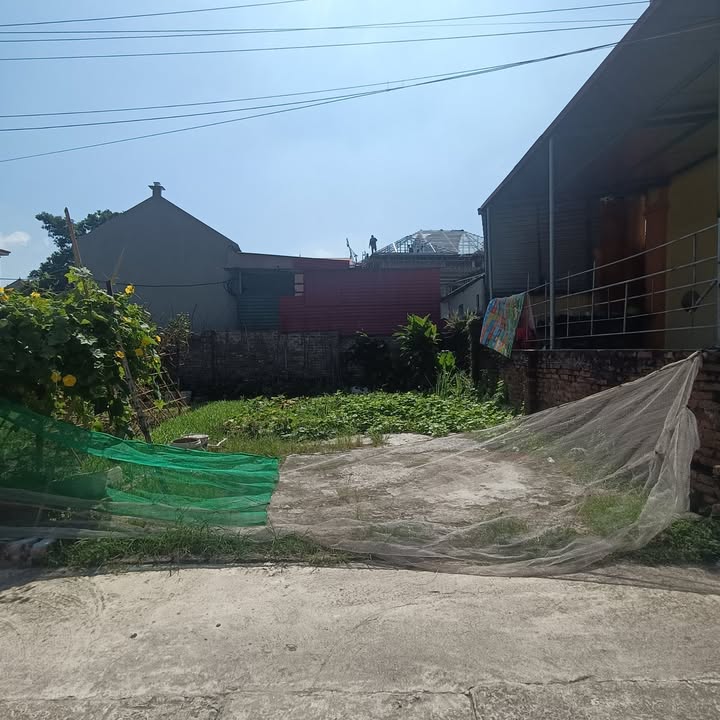 Bán đất thổ cư 50m² Phường Thanh Khương, Thuận Thành - Sổ đỏ lâu dài, ô tô tận nơi