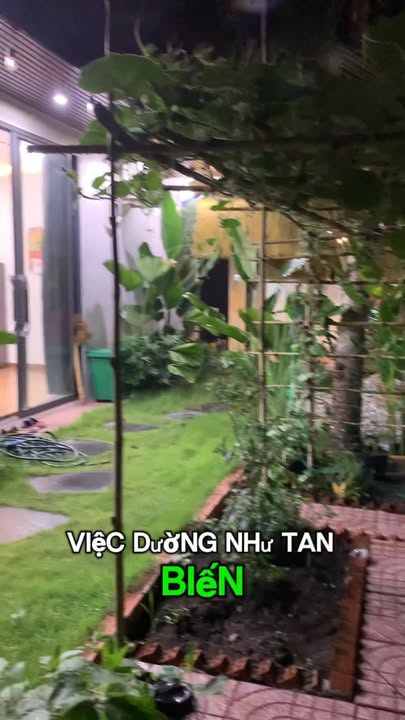 Đất Vườn Mini 240m² Lái Thiêu, Thuận An - Cơ Hội Đầu Tư Sinh Lời