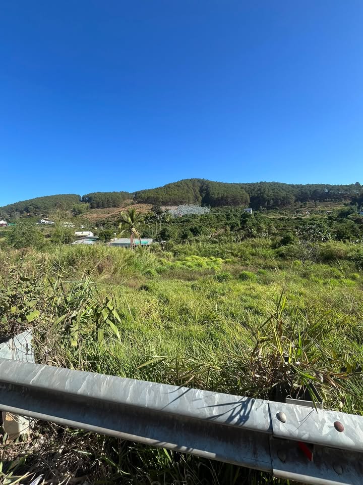 Đất Nền Lâm Hà 14800m² Mặt Tiền Đường Nhựa - 15.25 Tỷ