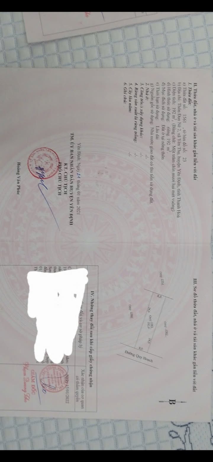 Bán Đất Yên Định 192m² Hướng Đông Nam - Sổ Đỏ Sẵn Sàng