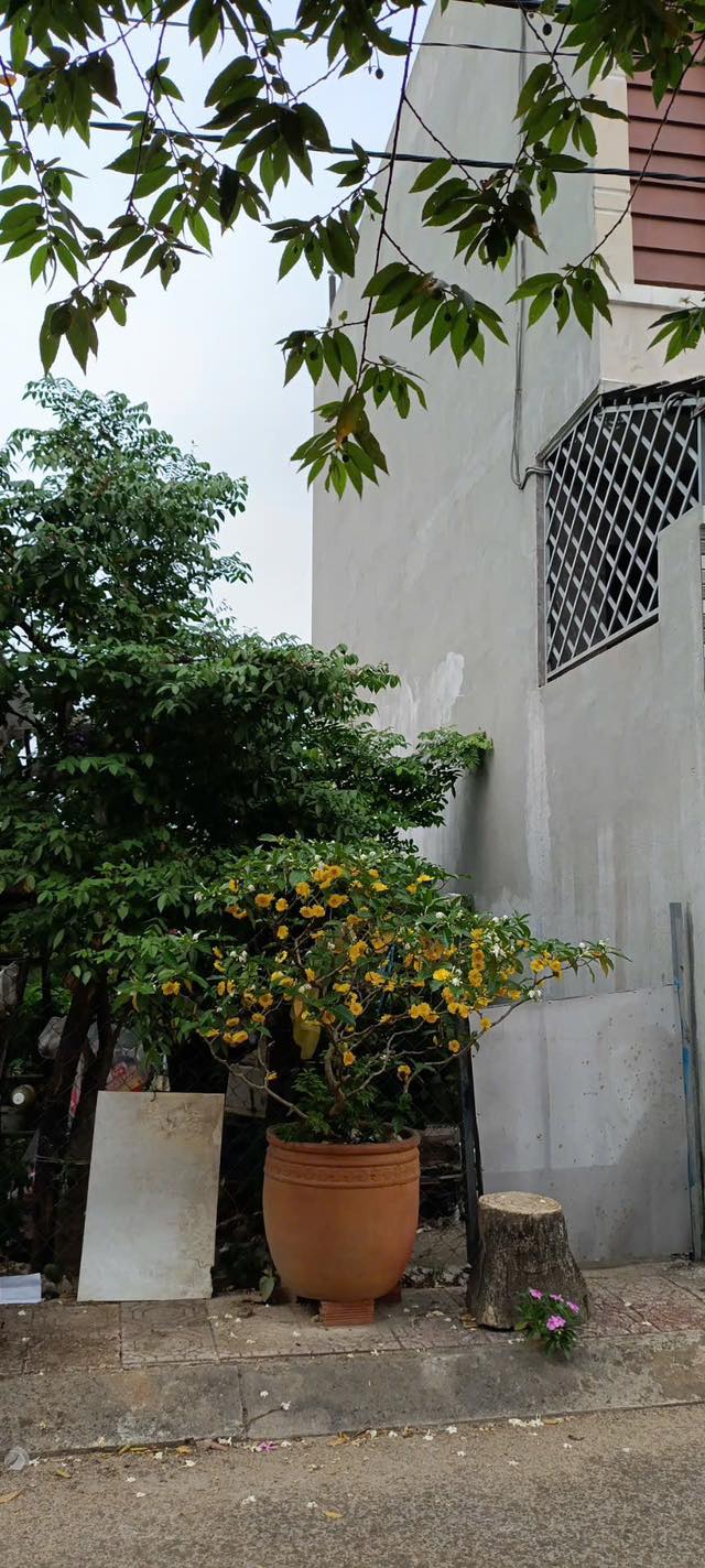 Đất nền 55m² Ngô Chí Quốc, Thủ Đức - Sổ hồng riêng, giá 3.35 tỷ