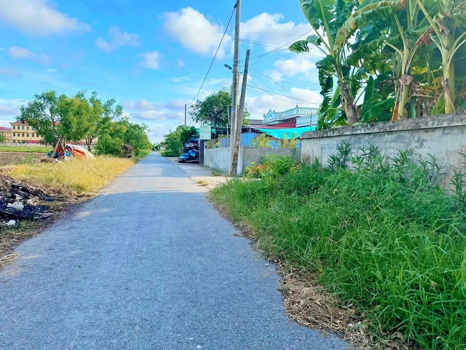 Bán Đất Lô Góc 96m² Xã Thái Đô, Thái Thụy - Sổ Đỏ Thổ Cư, Gần Trường Học