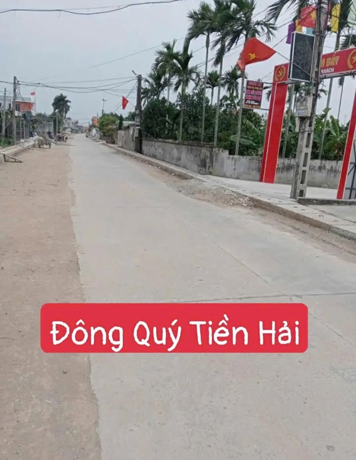 Bán Gấp Đất Trục Xã Đông Quý - Tiền Hải - Thái Bình 99.5m² - Giá Tốt