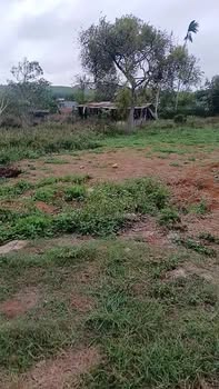 Đất Nền Đắk Mil 320m² - Sổ Hồng 100% Thổ Cư, Giá Tốt 1.37 Tỷ