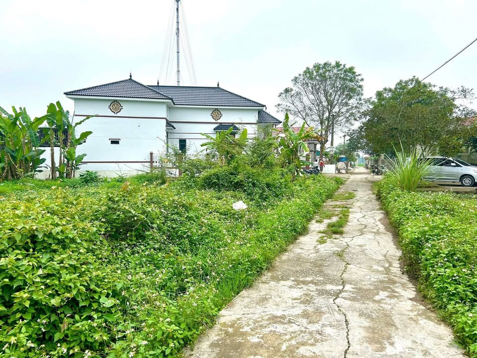 Đất nền 192m² Triệu Sơn, Thanh Hóa - Giá chỉ 6xx triệu, Sổ đỏ sẵn sàng