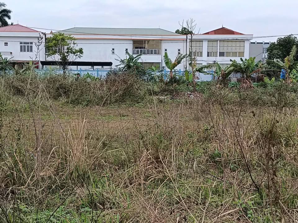 Đất Dịch Vụ Đồng Mai Hà Đông 50m² - Sổ Đỏ Chính Chủ, Ô Tô Tránh