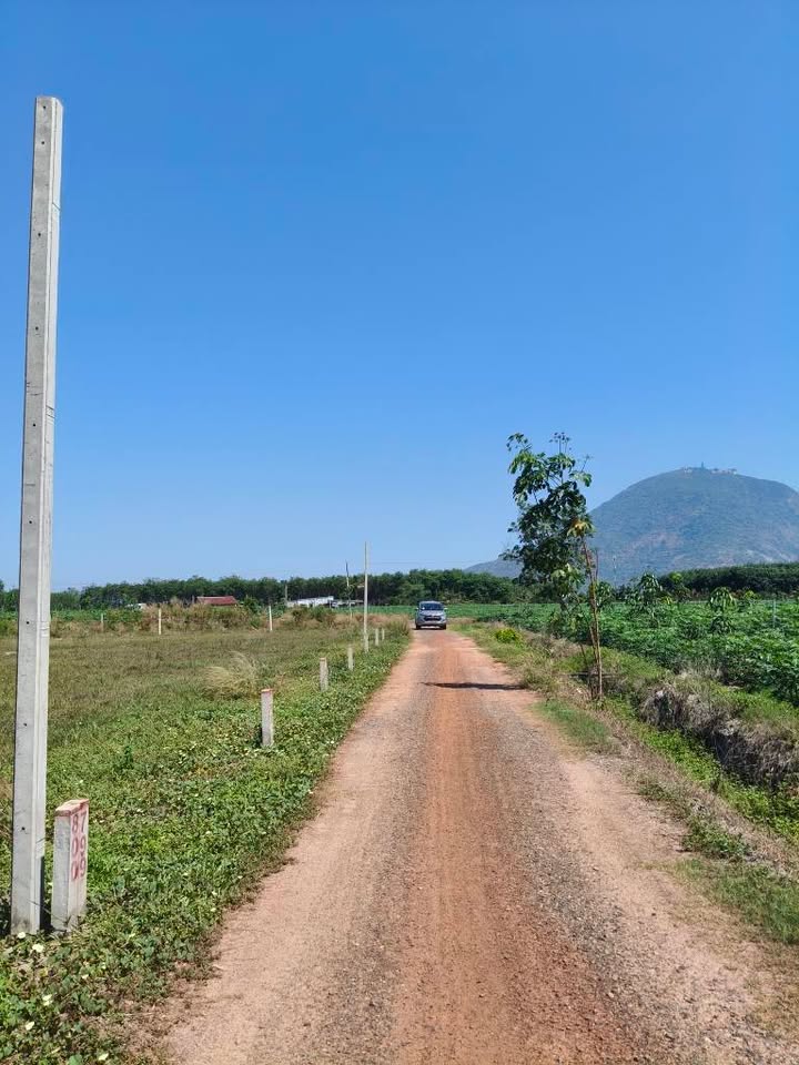 Đất Nền View Núi Dương Minh Châu 140m² Sổ Hồng Riêng