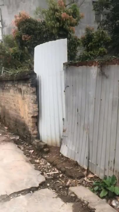 Đất Lục Ngạn 89.6m² Full Thổ Cư - Ngay Chợ Cơ Khí, Giá 1.2 Tỷ