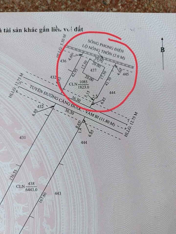 Bán Đất Nền 2174m² Mặt Tiền Sông & Lộ Xã Trường Long, Cần Thơ - Sẵn Sổ