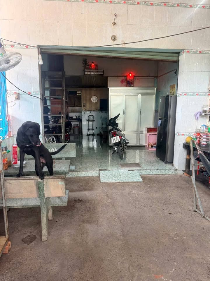 Nhà Vườn 300m² Mặt Tiền Lê Thị Kim, Hóc Môn - Giá Thuê 8 Triệu/Tháng