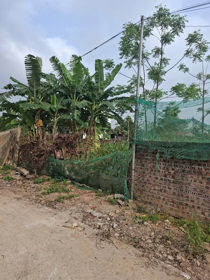 Đất nền Phú Thọ 262.8m² - Sổ đỏ sẵn sàng, giá đầu tư 7xx triệu