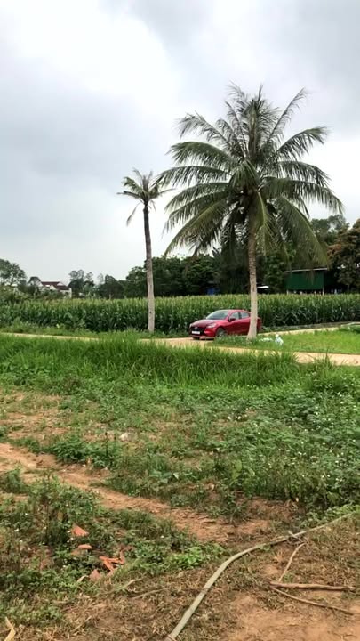 Đất Nền Quỳnh Thắng, Nghệ An - 189m² Giá Chỉ Hơn 300 Triệu