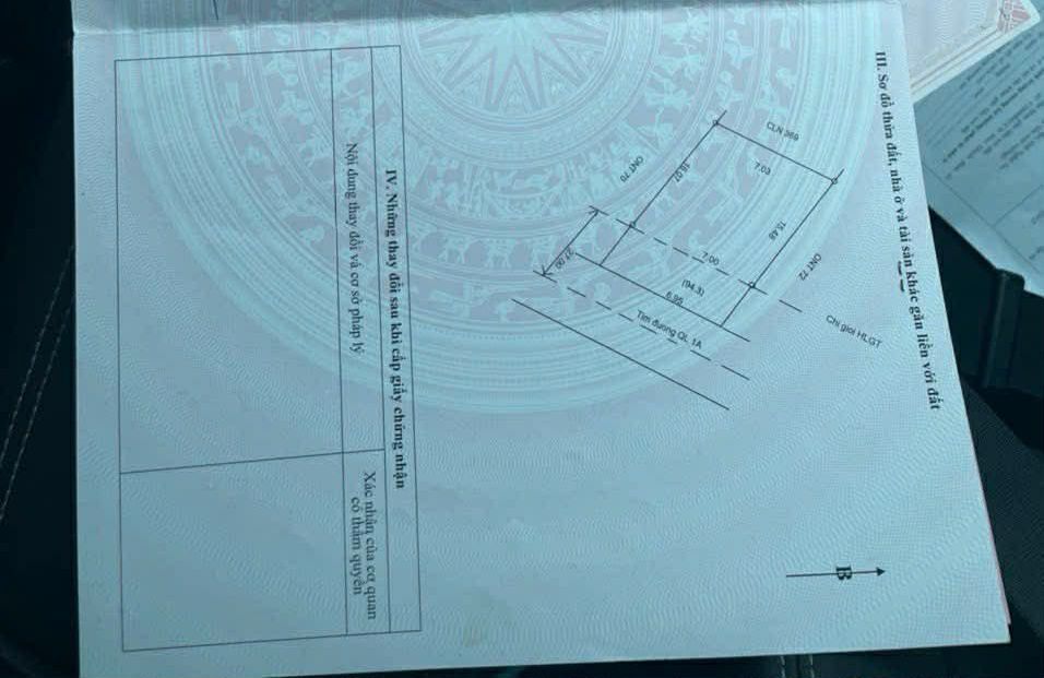 Đất Vàng Quốc Lộ 1A Quỳnh Lưu - Kinh Doanh Đắc Lợi 119m²