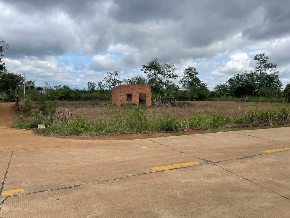 Đất Mặt Tiền QL29 Buôn Hồ - 1923m² Kinh Doanh Đắc Lợi