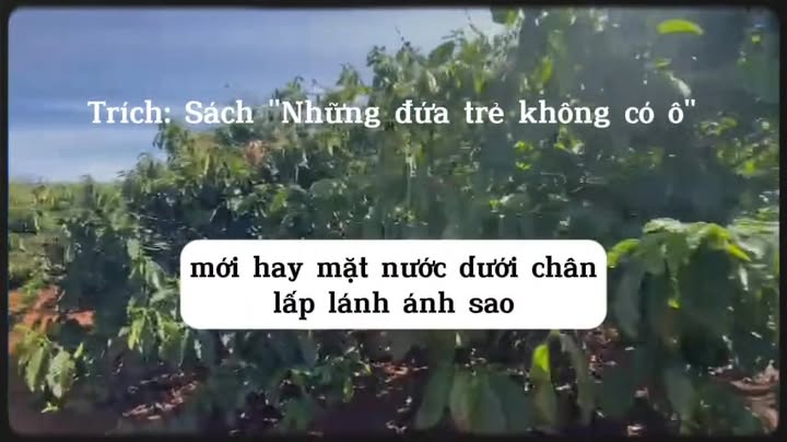 Bán gấp 3ha Cà Phê Kinh Doanh Ia Hrung, Gia Lai - Sổ Đỏ Riêng