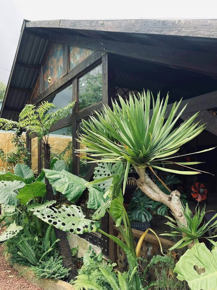 Farm Măng Đen 300m² - Quán Cafe Chill, Sẵn Sàng Kinh Doanh