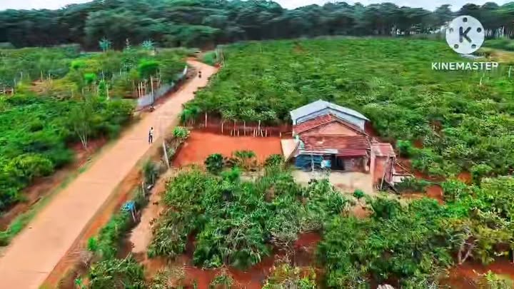 Farm 36.000m² Mặt Tiền 120m View Rừng Thông - Gia Lai