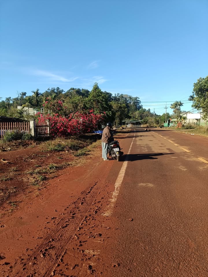 Đất Mặt Tiền Đường Nhựa 810m² Quảng Trực, Tuy Đức - Giá Đầu Tư 370 Triệu