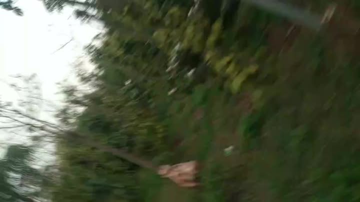 Đất nền Đắk Lắk - 360m² Bám mặt tiền đường nhựa, giá 2.5 tỷ