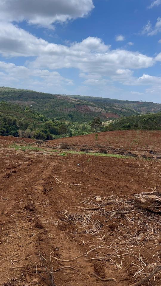 Đất đỏ bazan Ea Kar 4ha - Sẵn sàng canh tác, tiềm năng sinh lời