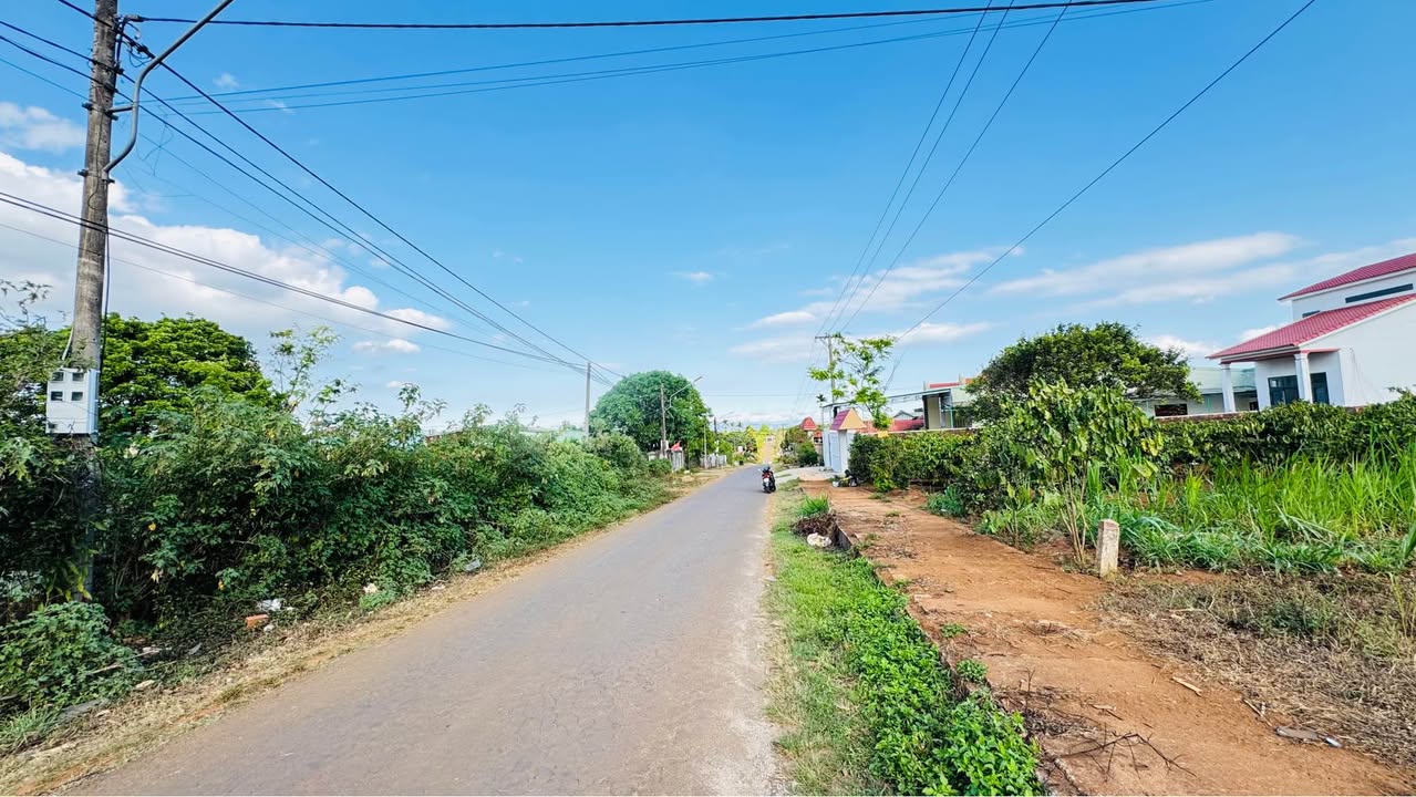 Bán Đất Mặt Tiền Nguyễn Biểu, Quy Nhơn 931m² - Tặng Nhà Tiền Chế