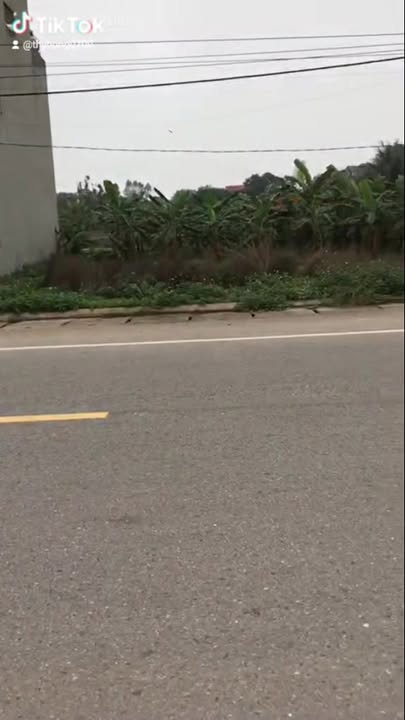 Đất đấu giá Ngọc Châu, Bắc Giang - Mặt tiền TL 295, 100m², Kinh doanh đắc lợi