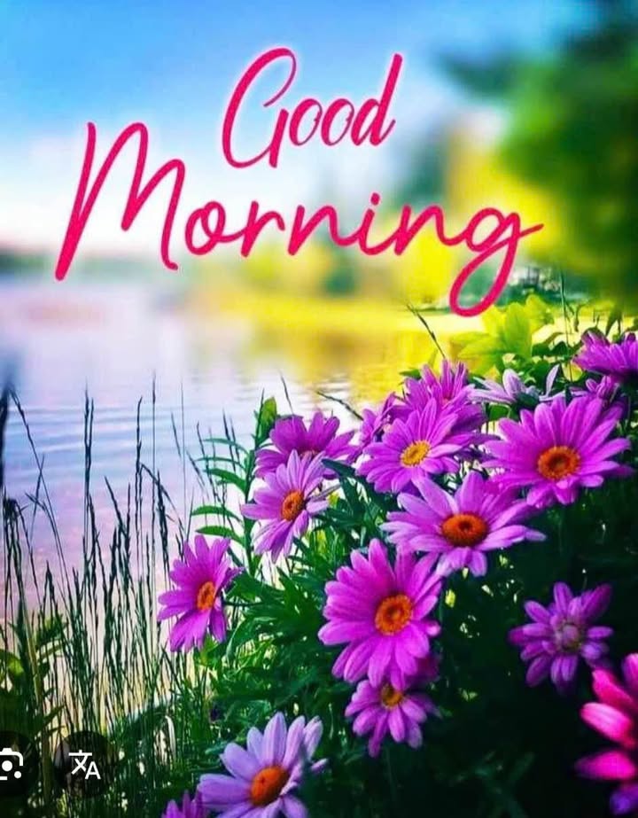 Bán Đất Mặt Tiền Nguyễn Huệ, Đồng Xoài - 282m² Thổ Cư, Giá Chỉ 4.x Tỷ