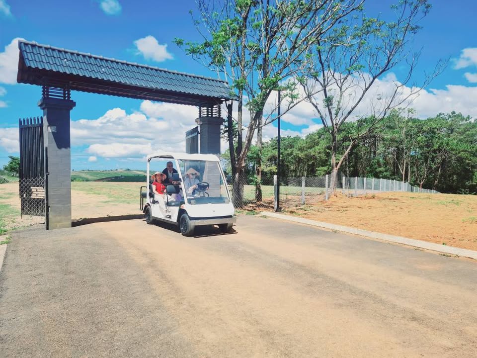 Đất Sào View Đồi Thông 1000m² TP Bảo Lộc - Giá Đầu Tư 3.6 Tỷ