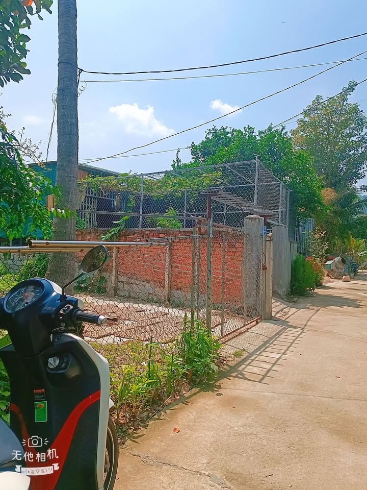 Đất Thổ Cư Diên Khánh 216m² - Sổ Hồng Sẵn Sàng - Giá 1.25 Tỷ