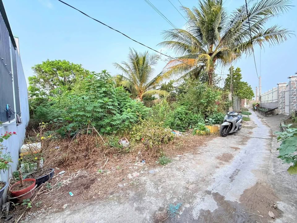 Bán Đất Thổ Cư Bến Lức 140m² - Sổ Hồng Sẵn Sàng