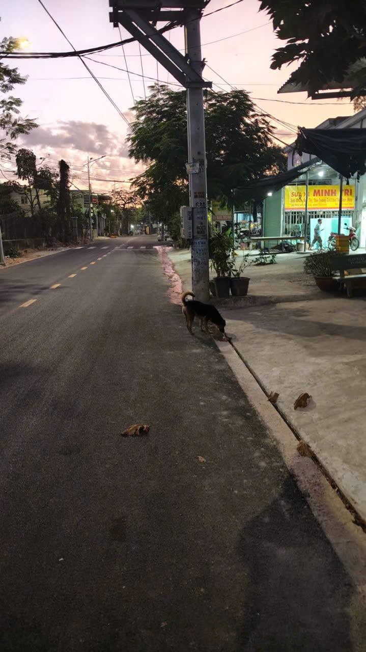 Nhà Mặt Tiền Kinh Doanh Trương Vĩnh Dĩ An 151m² - Giá 4.5 Tỷ