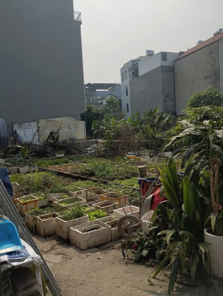 Đất nền Miêu Nha 51m² giá 6.9 tỷ - Sổ đỏ vuông vắn, xây nhà đẹp