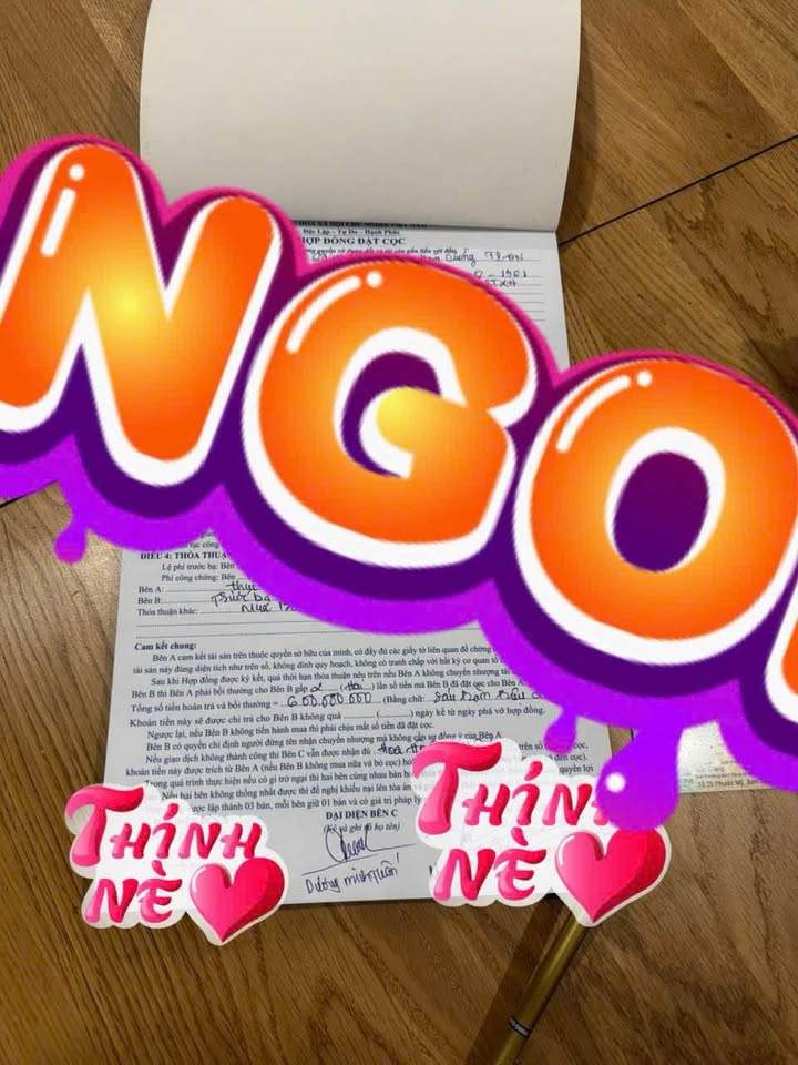 Nhà 2 Tầng Mặt Tiền Hoàng Đức Lương, Đà Nẵng - 100m², 13 Tỷ