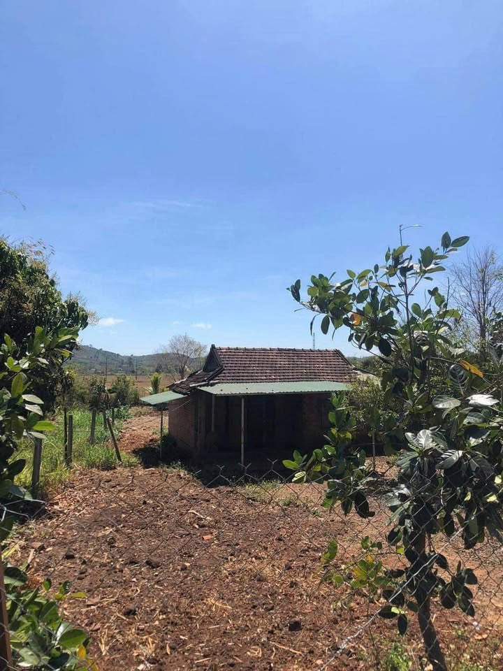 Đất Nền Xã Dray Sáp Krông A Na - 603m² Thổ Cư 100% - Sổ Riêng