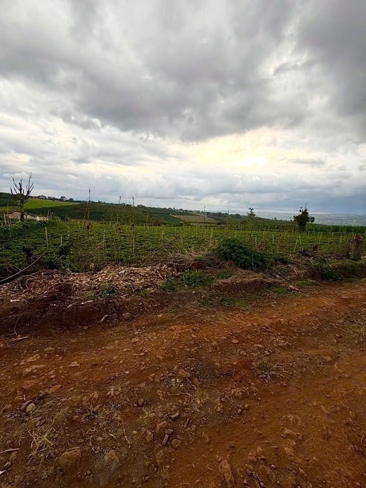 Đất Vườn 9300m² Đức Trọng - Sổ Đỏ, Mặt Tiền 62m, Giá Tốt