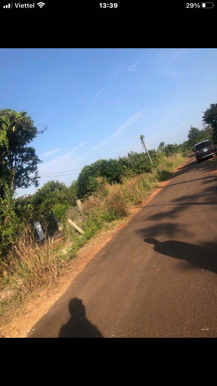 Bán Đất Vườn Xuyên Mộc 16000m² - Mặt Tiền 200m Đường Nhựa, Sổ Hồng