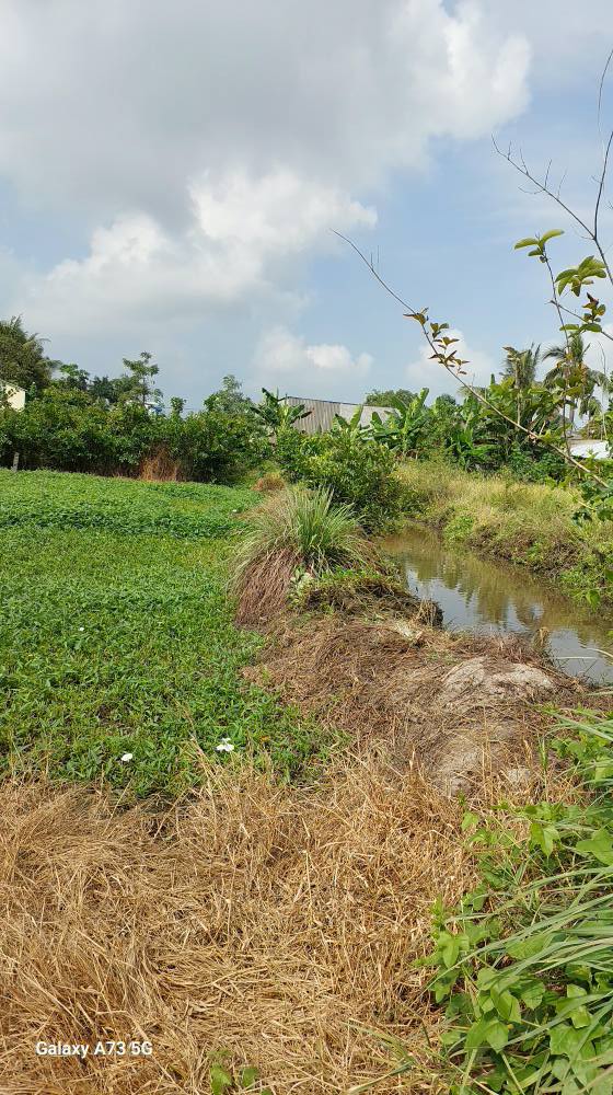 Bán Gấp 2 Nền Đất 100m² Trung Tâm Rạch Giá - Giá 400 Triệu/Lô