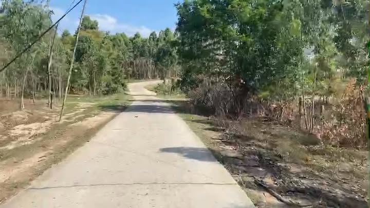 Bán Gấp Farm 1.5ha Kông Chro, Gia Lai - Kèm Trại Heo, Mặt Đường Bê Tông