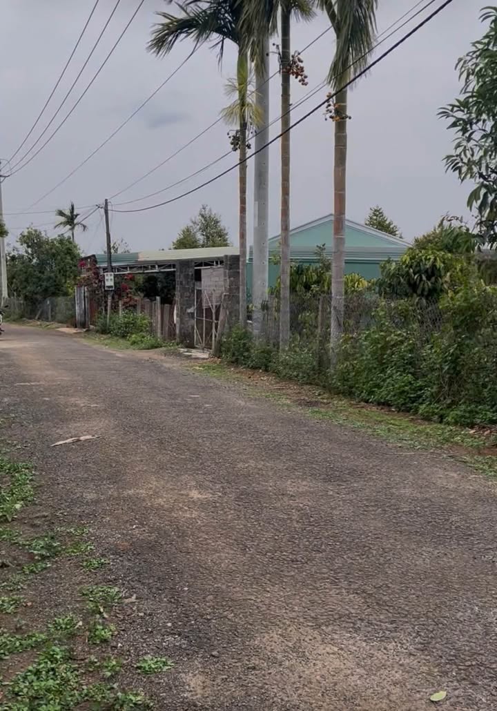 Đất Nền Gia Lai 2130m² - Mặt Tiền Đường Nhựa, Sẵn Sổ Hồng - Giá 1.05 Tỷ