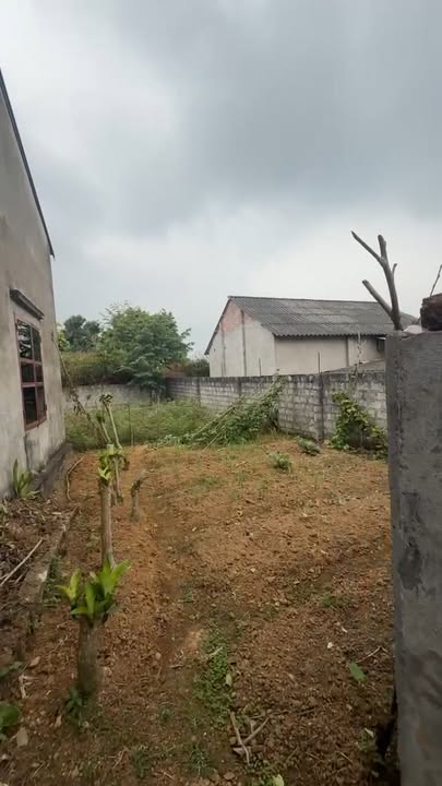 Bán Đất Vườn Phú Lạc 600m² - Sổ Đỏ Rõ Ràng, Giá Đầu Tư